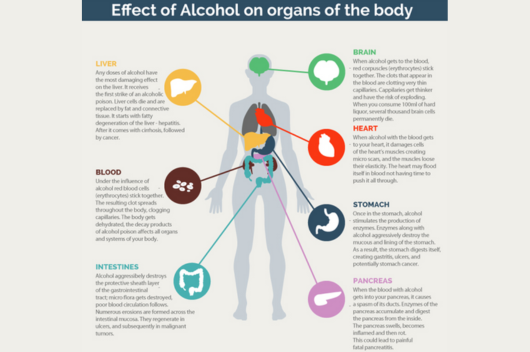 Alcohol’s Impact on the Body