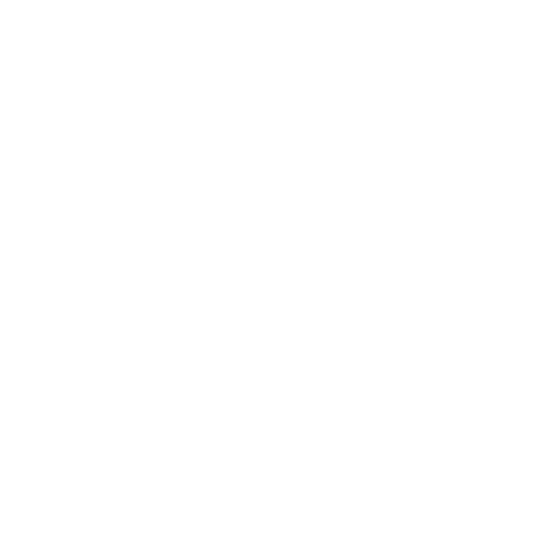 Herren Project icon 04