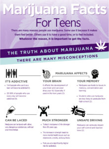 Marijuana Fact Sheet